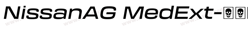 NissanAG MedExt字体转换